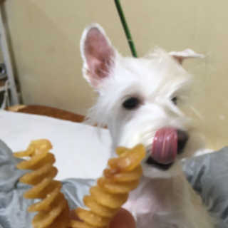 솔이님이 올린 리뷰 사진 1