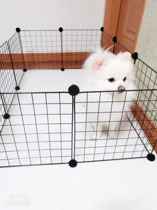 쉬셈님이 올린 리뷰 사진 1