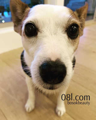 BozenaSokalski님이 올린 리뷰 사진 3
