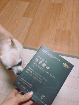 펫테라피 플레이트 야채품은 하루황태 — 3점을 준 리뷰어가 2020년 1월 올린 사용 사진