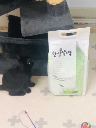 임혜빈님이 올린 리뷰 사진 1