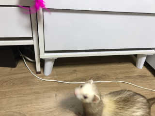 이소현님이 올린 리뷰 사진 4