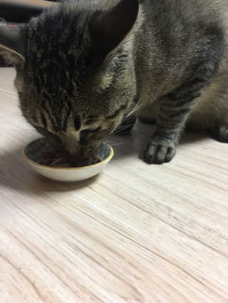 짱이님이 올린 리뷰 사진 4