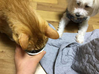 uㅡjay님이 올린 리뷰 사진 3