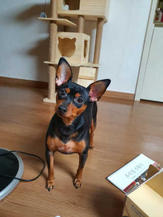 루잉루잉님이 올린 리뷰 사진 3
