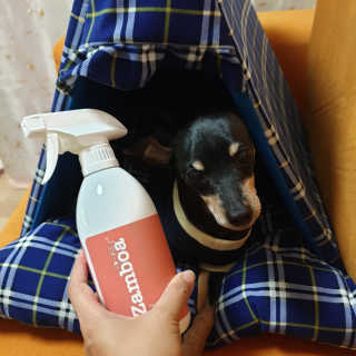 임토리님이 올린 리뷰 사진 4