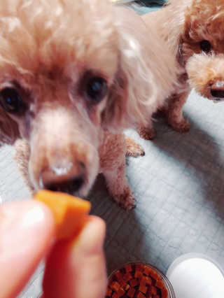 뚠꾸뚠꾸💕님이 올린 리뷰 사진 3