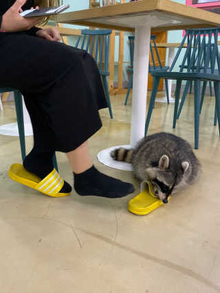 단비k님이 올린 리뷰 사진 3