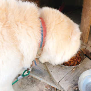 김은채님이 올린 리뷰 사진 3