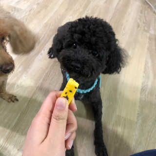 kclabt님이 올린 리뷰 사진 3