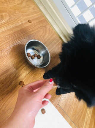 ✌️님이 올린 리뷰 사진 4
