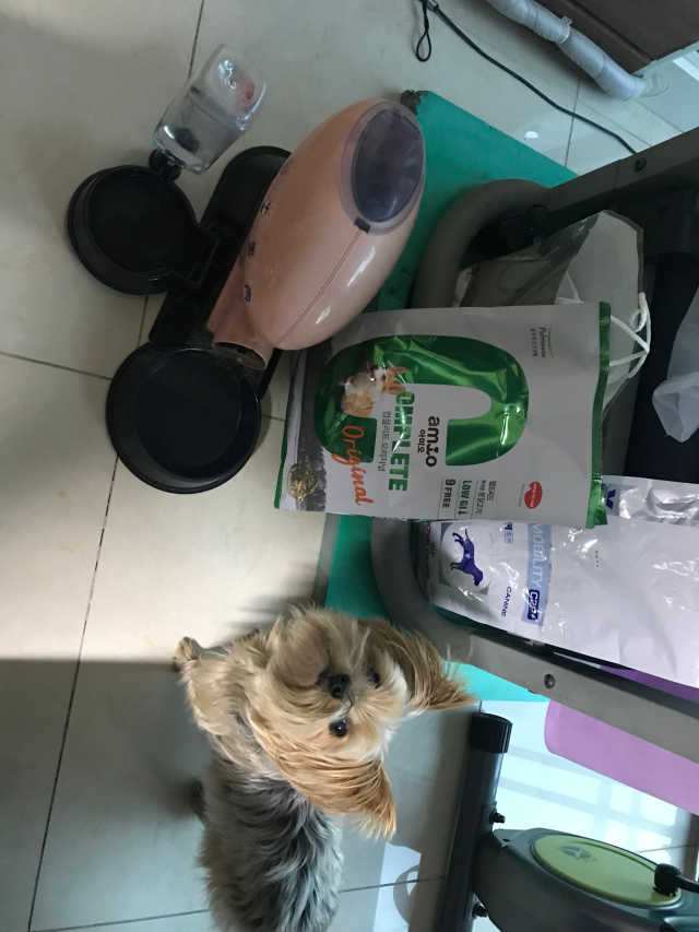 컴플리트 오리지널 리뷰 사진