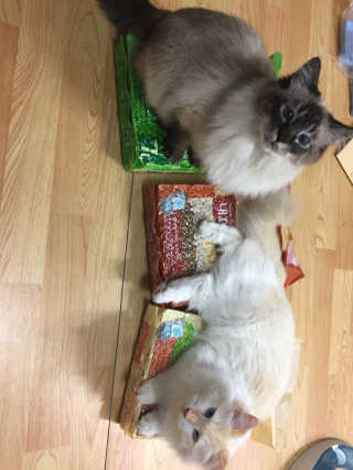 JungheeKim님이 올린 리뷰 사진 1