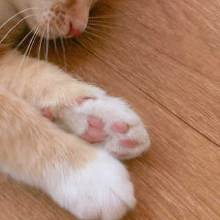 소혜인님이 올린 리뷰 사진 3