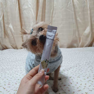 솜희님이 올린 리뷰 사진 4