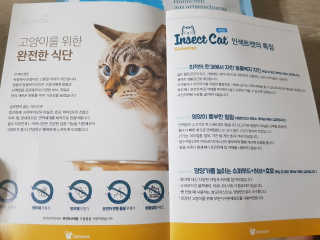 그린펫푸드 인섹트캣 글루텐프리（1.2KG） — 5점을 준 리뷰어가 2019년 9월 올린 사용 사진