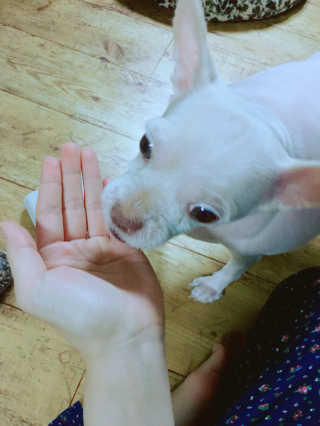 NaraLee님이 올린 리뷰 사진 2