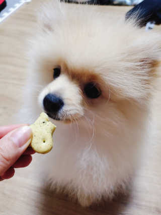 으콩님이 올린 리뷰 사진 1