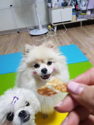 뚱이땅콩맘님이 올린 리뷰 사진 3