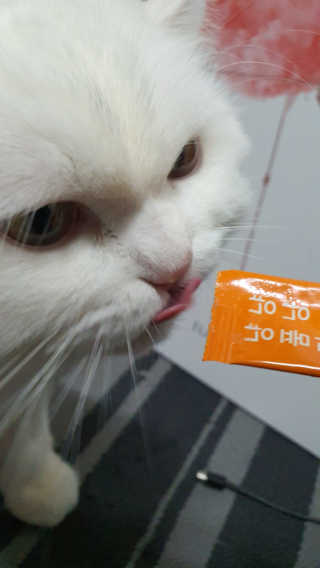Woo7C님이 올린 리뷰 사진 2