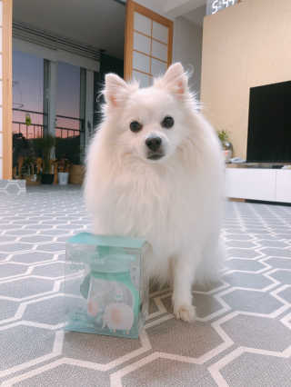제인님이 올린 리뷰 사진 1