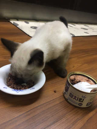 박클님이 올린 리뷰 사진 1