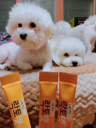 sezziChu님이 올린 리뷰 사진 1
