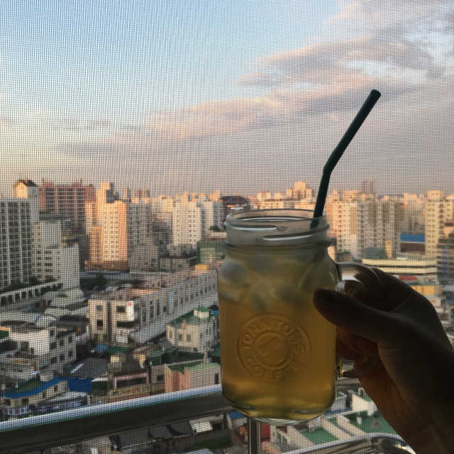 로하스웰 프랑스산 레몬밤 분말 리뷰 사진