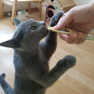 쿠로님이 올린 리뷰 사진 1