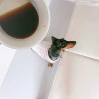 wooriYul님이 올린 리뷰 사진 2