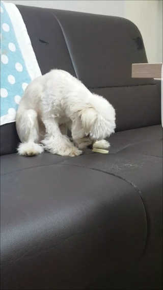 엣헴님이 올린 리뷰 사진 1