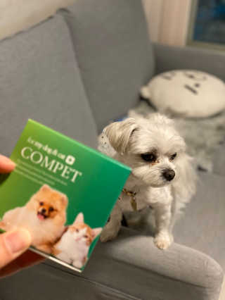 칸쵸님이 올린 리뷰 사진 4