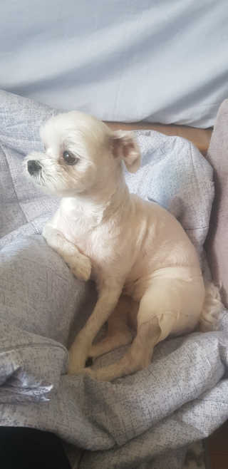 콩이님이 올린 리뷰 사진 3