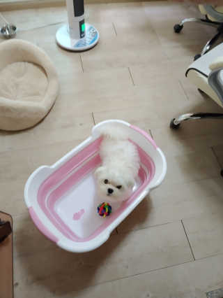 보따리님이 올린 리뷰 사진 1