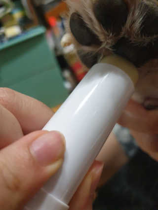 beaglelove님이 올린 리뷰 사진 2