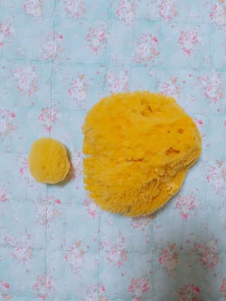 .님이 올린 리뷰 사진 2