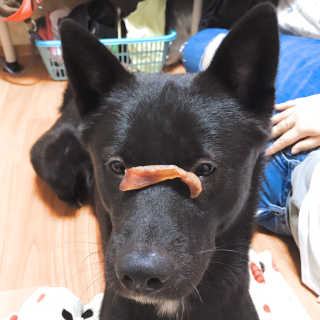 여울비화님이 올린 리뷰 사진 2