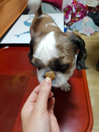 김예원님이 올린 리뷰 사진 3