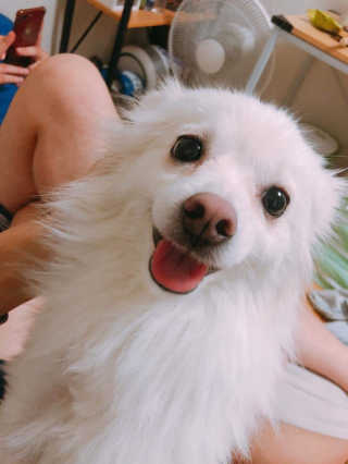 이겨울님이 올린 리뷰 사진 2
