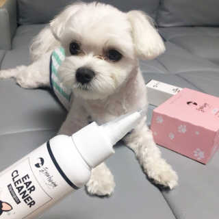 제진영님이 올린 리뷰 사진 2
