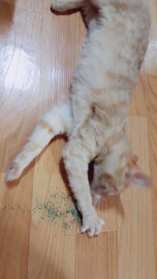 moomoon님이 올린 리뷰 사진 3