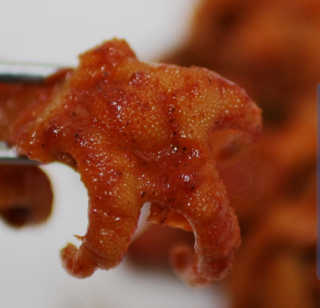 치구링님이 올린 리뷰 사진 3