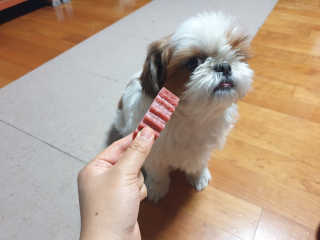 김은지님이 올린 리뷰 사진 4