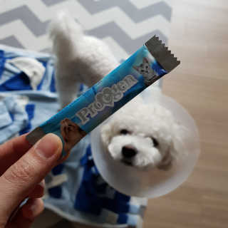 MinheeJo님이 올린 리뷰 사진 2