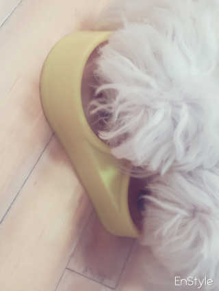 지영님이 올린 리뷰 사진 2