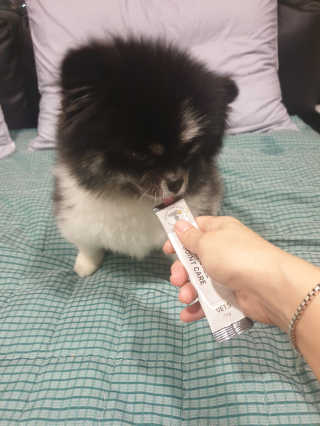 몽실맘님이 올린 리뷰 사진 4