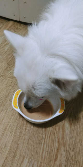 EunJeongKong님이 올린 리뷰 사진 3