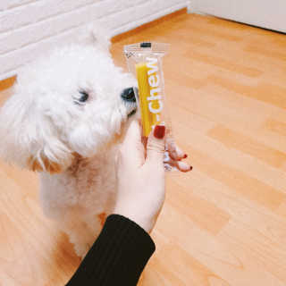 [펫토리아] 한입뚝딱 혼합 덴탈츄 Just 1-Chew — 5점을 준 리뷰어가 2020년 2월 올린 사용 사진