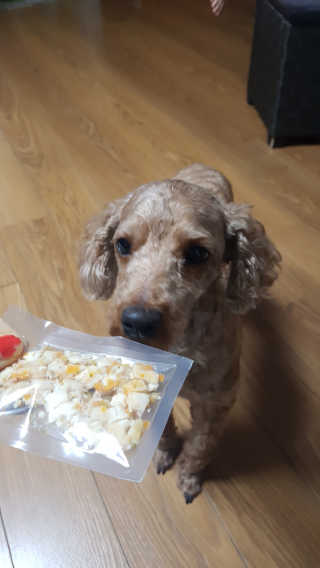 삐삐맘님이 올린 리뷰 사진 3