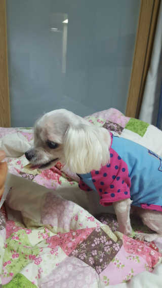 오윤택님이 올린 리뷰 사진 1